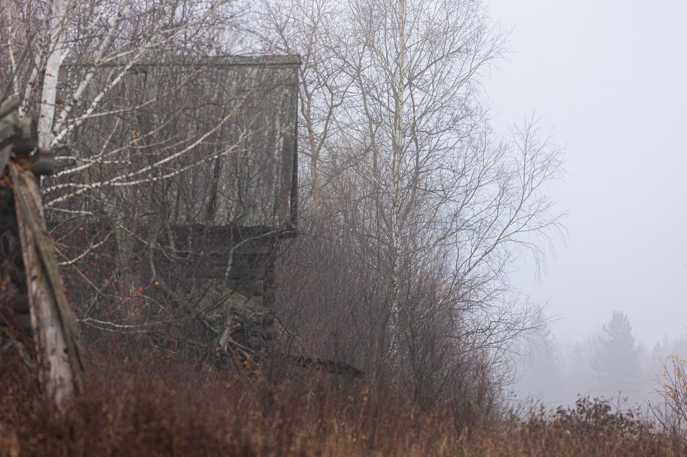 Photograph by Алексей Широбоков