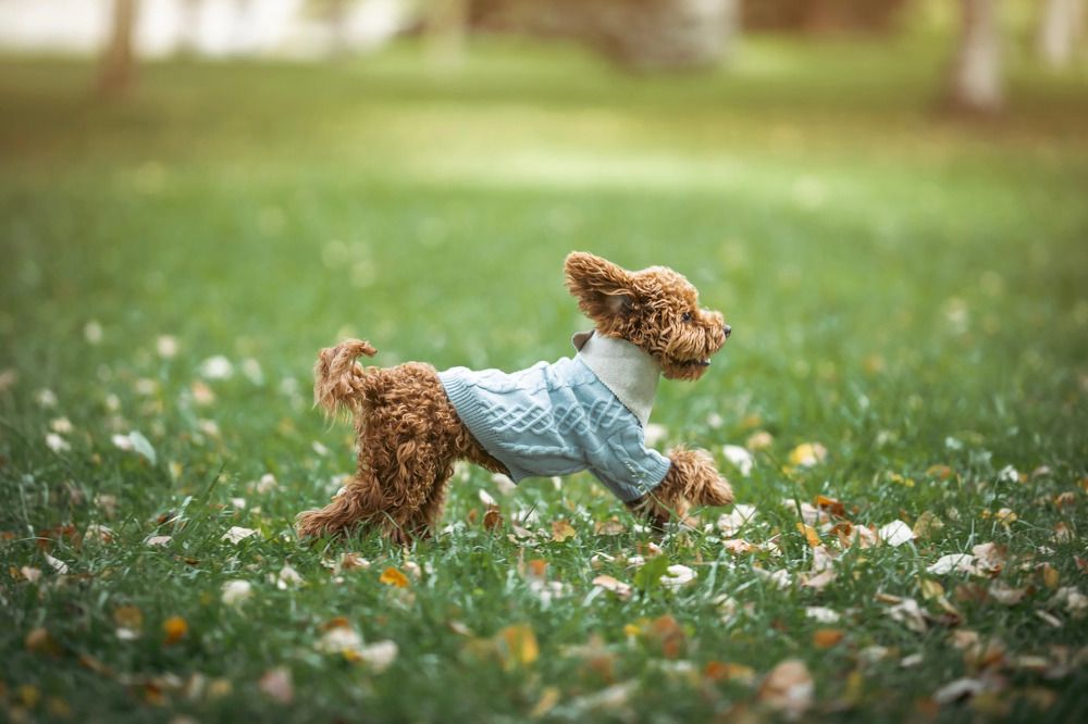 Photograph by Romanova Mariya