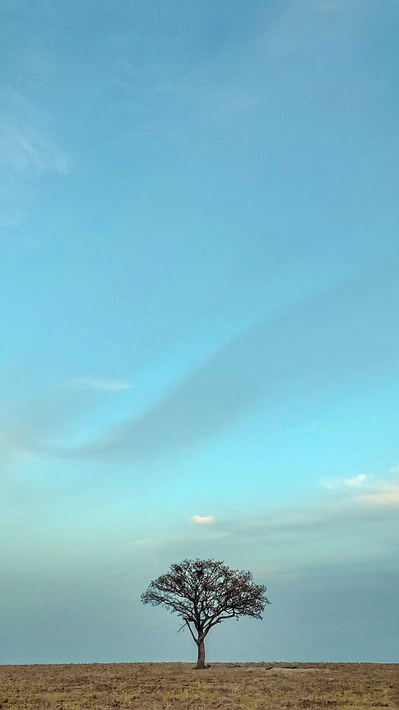 Фотография автора Seyede Elahe GHasemi