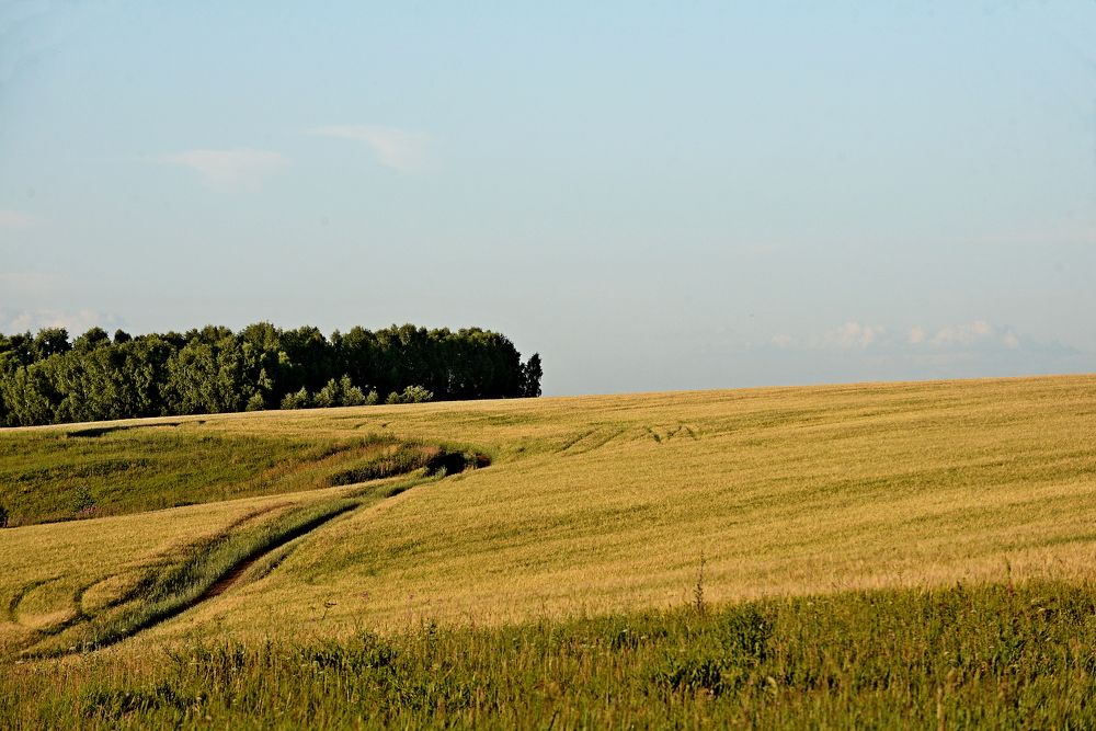 Photograph by Алексей Козлов