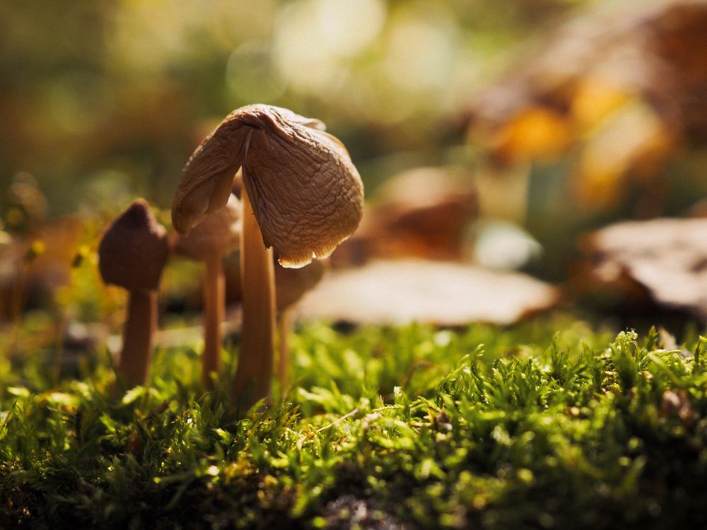 Photograph by Мария Фак