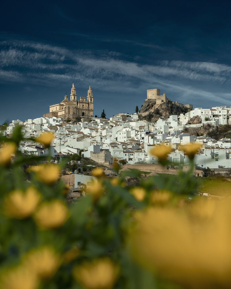 Photograph by Denis Treskanica