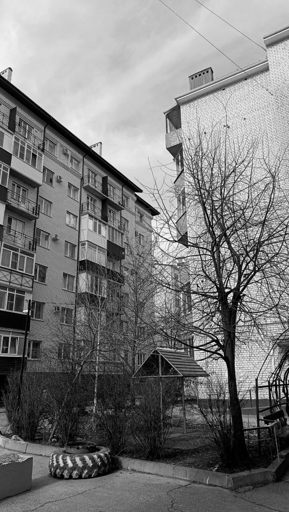 Photo #10288961