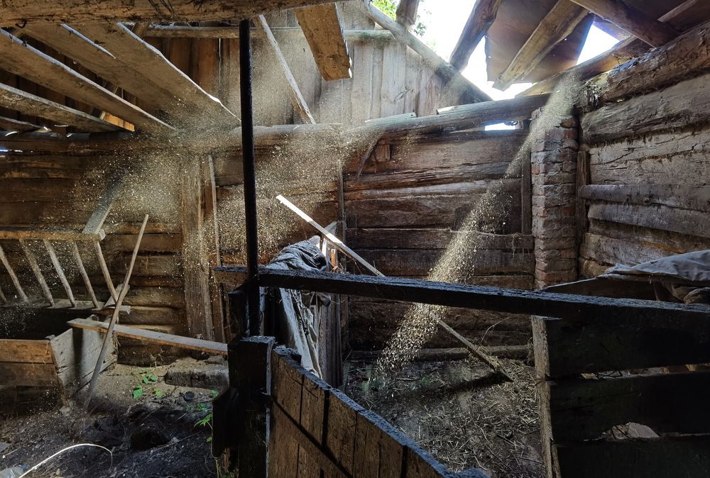 Photograph by Дмитрий Дрозд