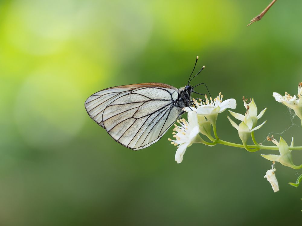 Photograph by Денис Давыдов
