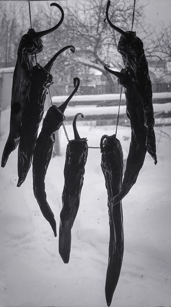 Photograph by Mary Ryzhenkova