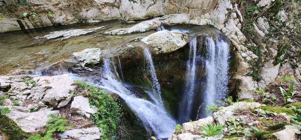 Photograph by mikhail goryachev