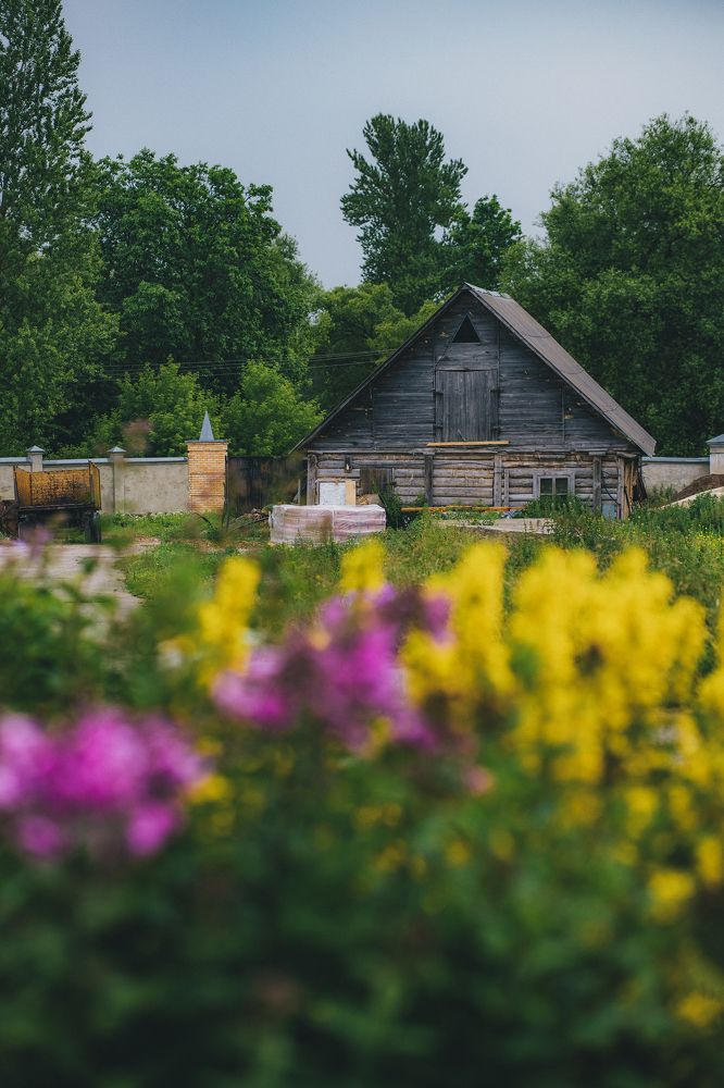 Photograph by Artyom Panfilov