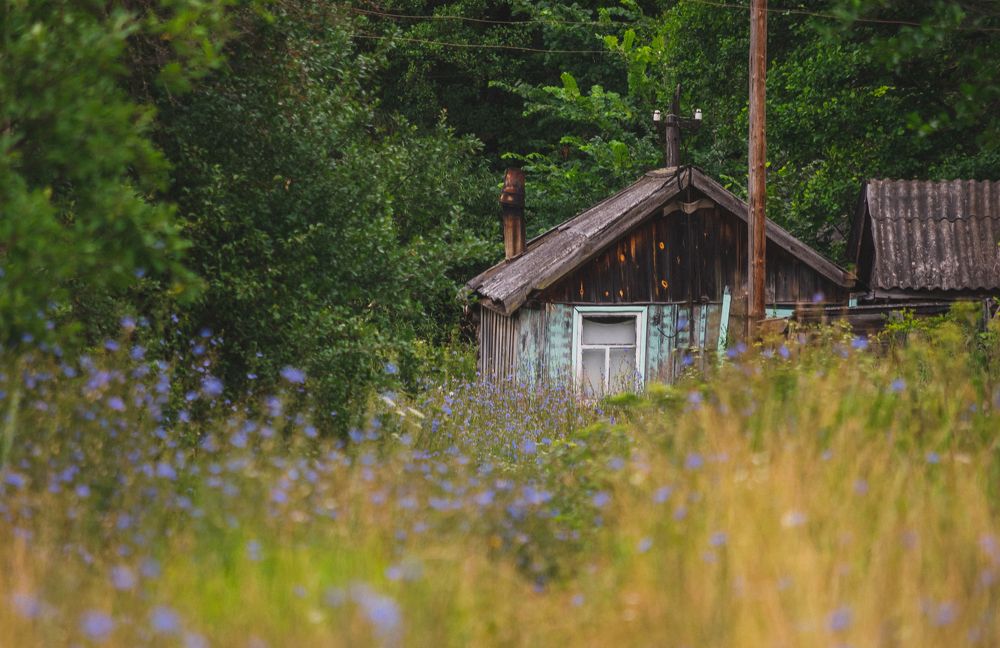 Photograph by Мария Илларионова