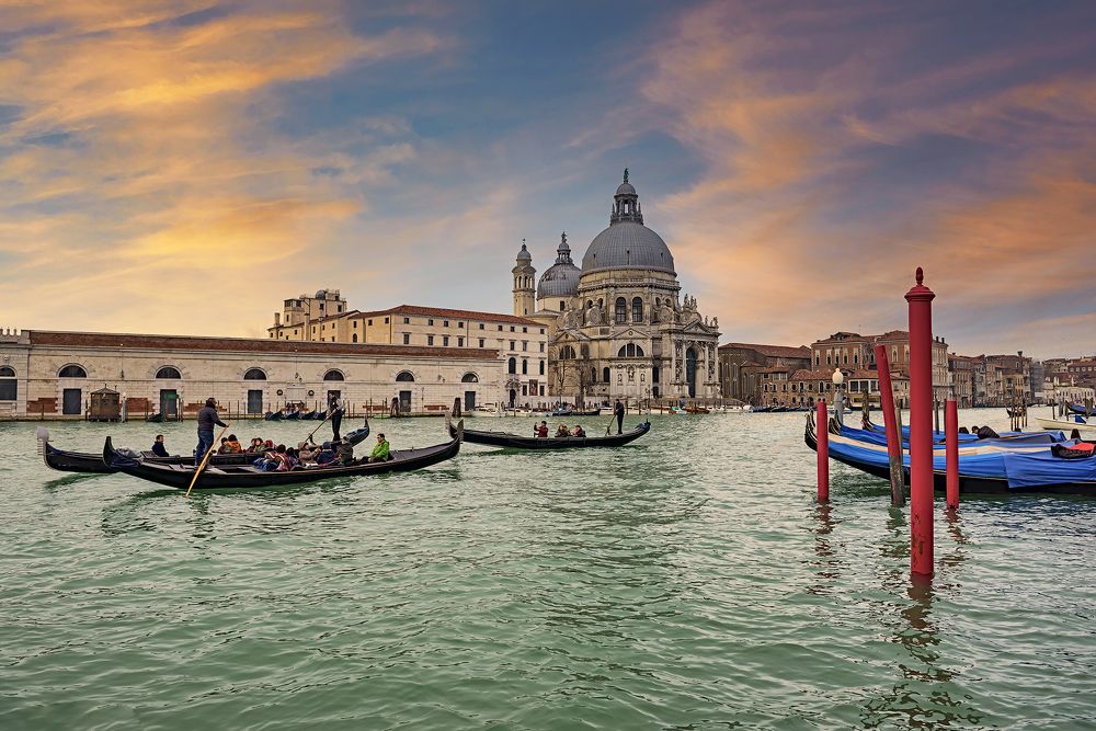 Photograph by Enrico Luzi