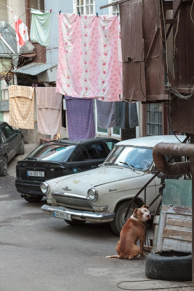 Photograph by Olya Kozlova