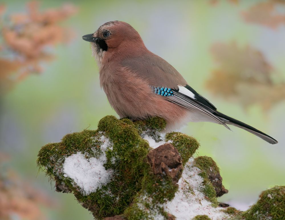 Photograph by Алексей Юденков