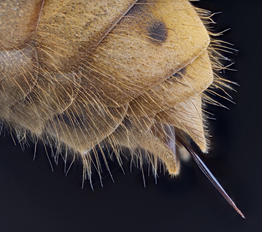 Photograph by Enrico Luzi