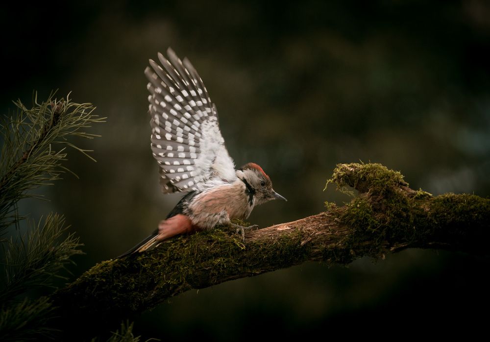 Photograph by Алексей Юденков