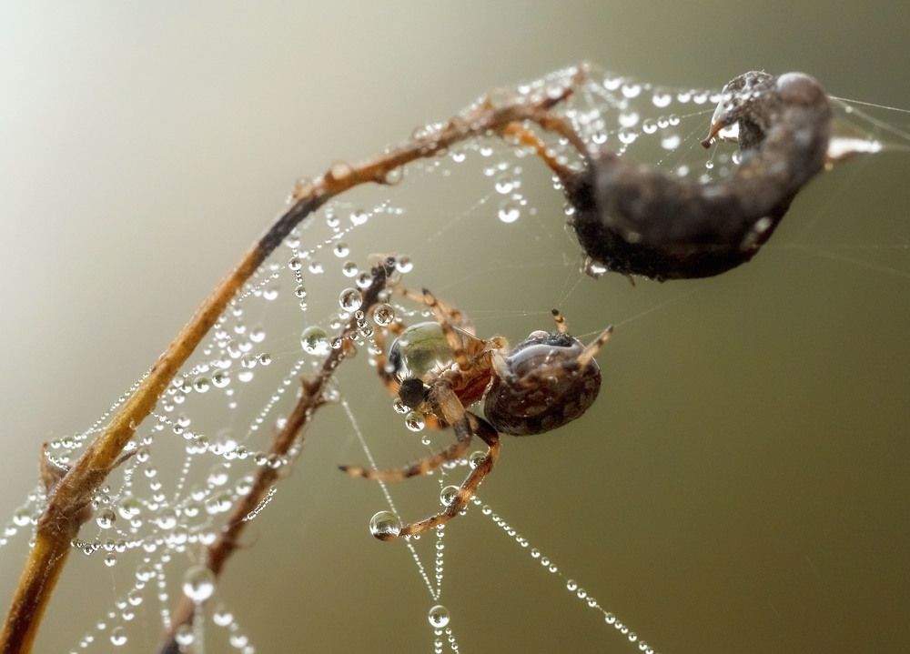 Photograph by Юлия Лушникова