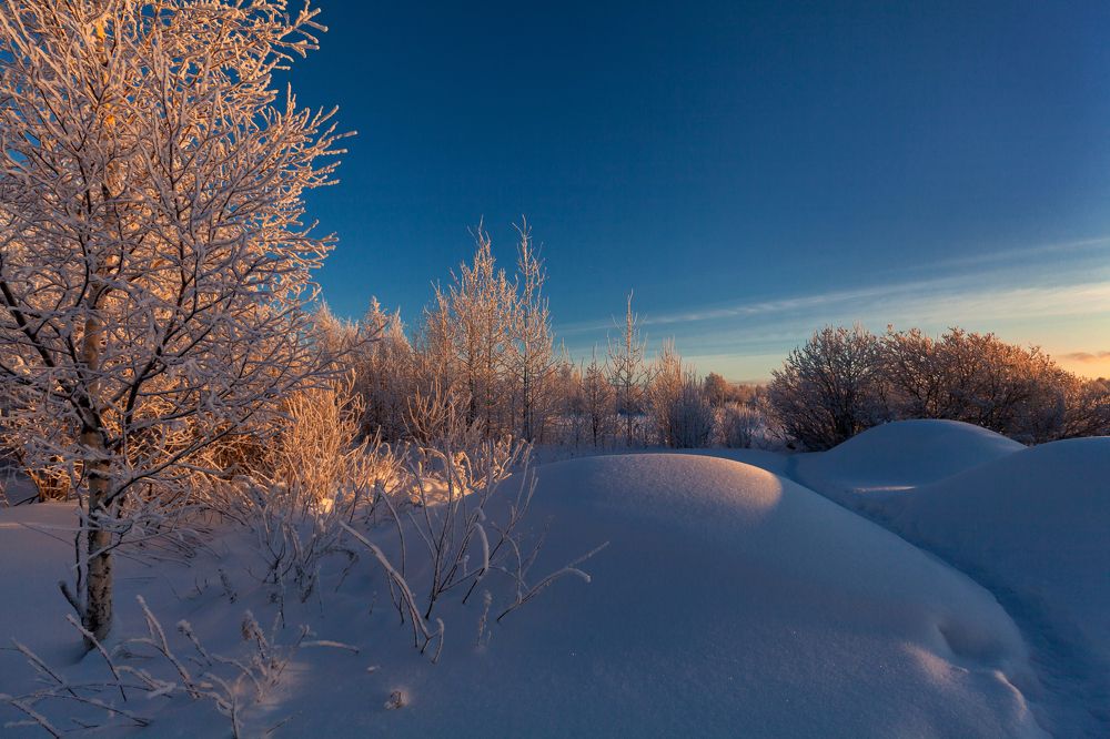 Иней в ,,синий час".