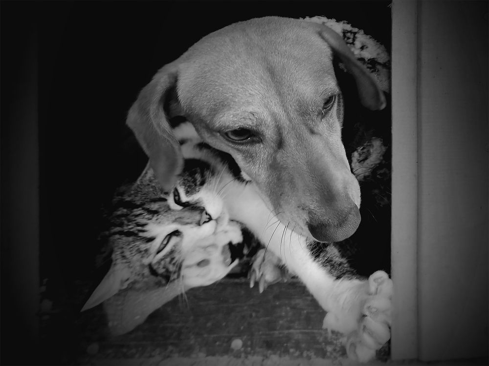 Photograph by Владимир Каюков