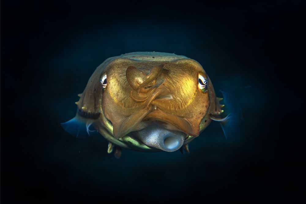 Photograph by Rodrigo Gavilan