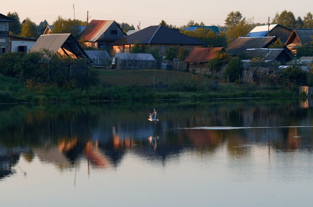 Photograph by Маргарита Гасец