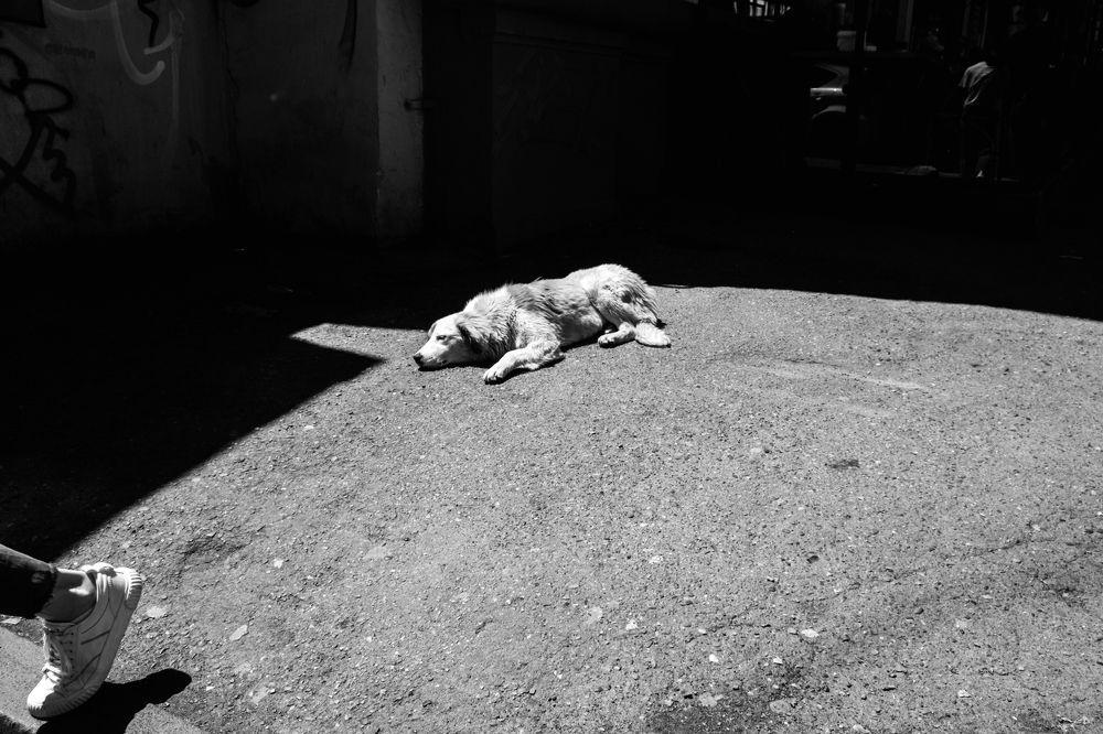 Photograph by Evgeniya Biriukova