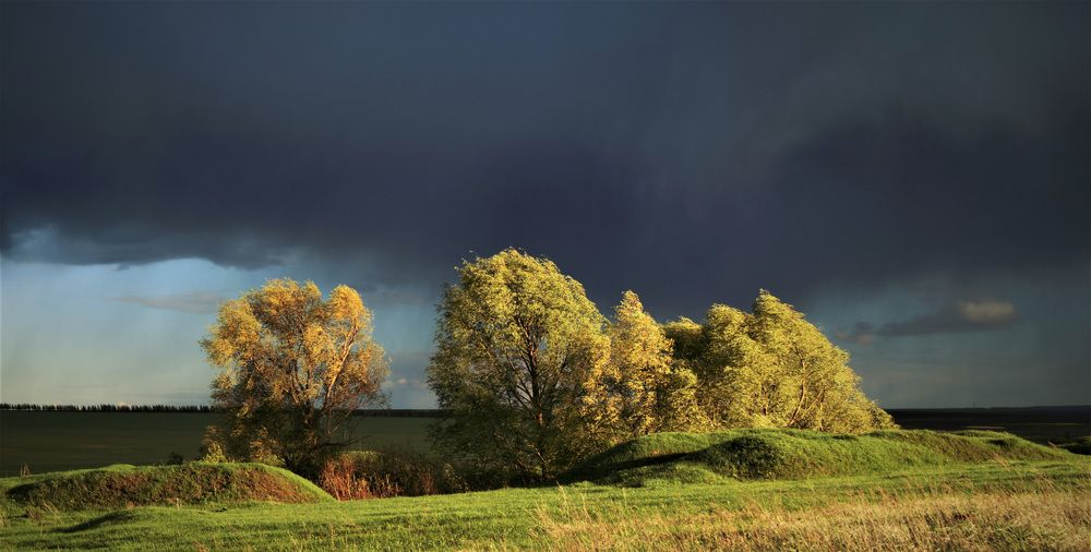 Photograph by Валерий Кудряшов