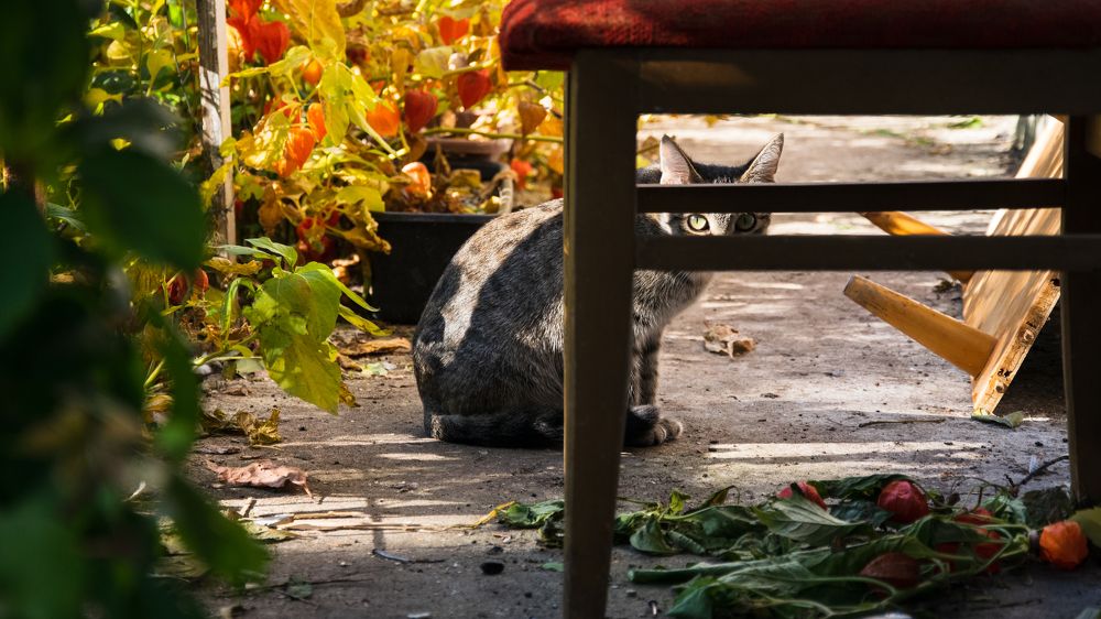 Photograph by Александра Глумина