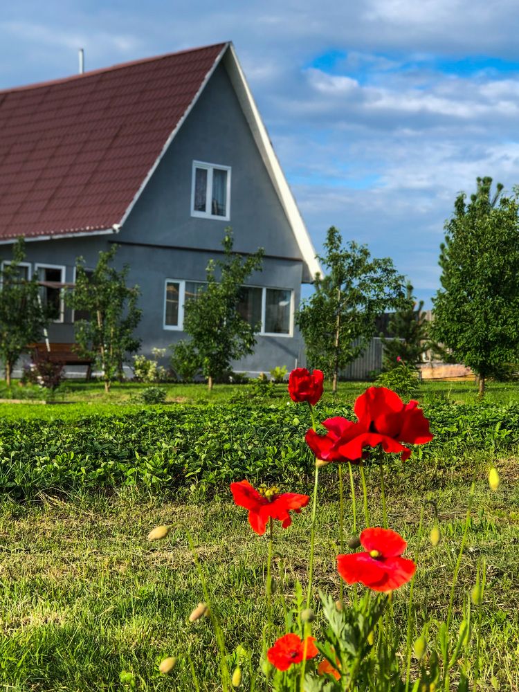 Photograph by Svetlana Tolkunova