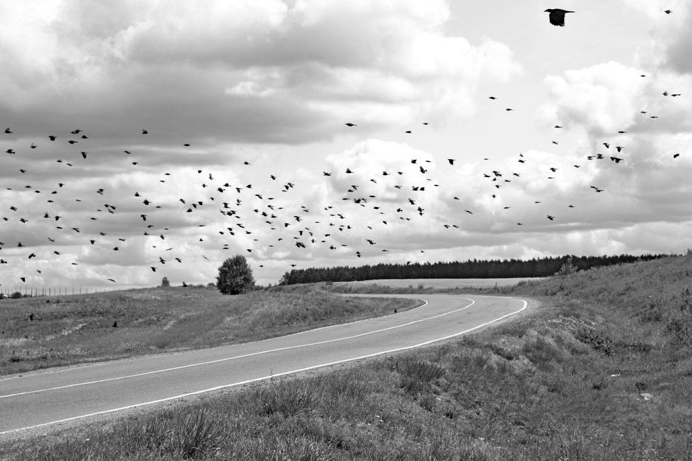 Photograph by Анна Мещерина