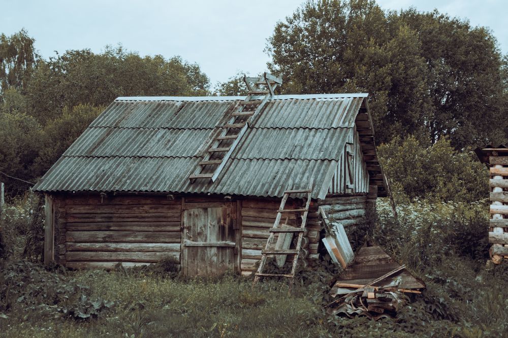 Photograph by Александра Глумина