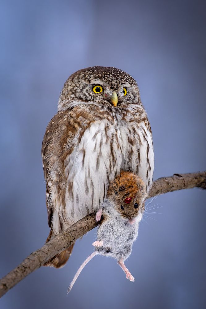 Photograph by Антон Науменко