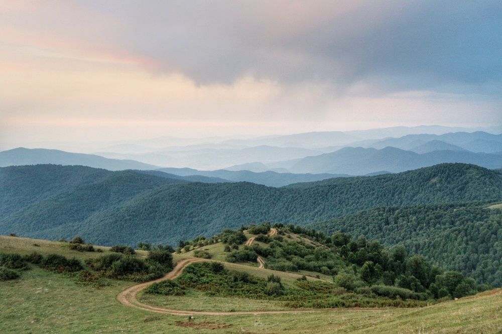 Photograph by Seyed-Sajad Hamedheydari