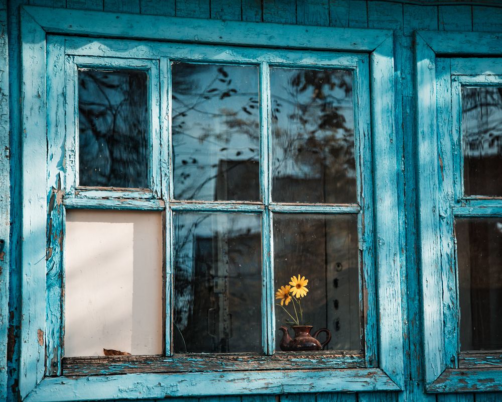 Photograph by Ольга