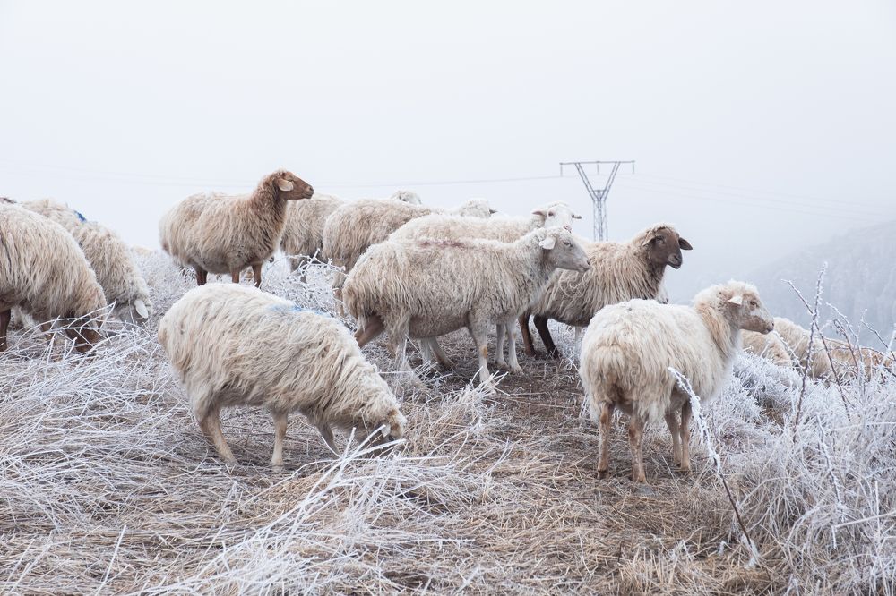 Photograph by Alex Belov