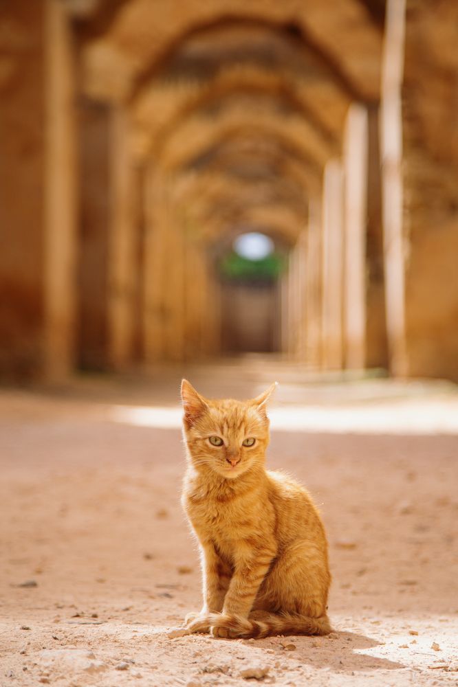 Photograph by Alex Belov