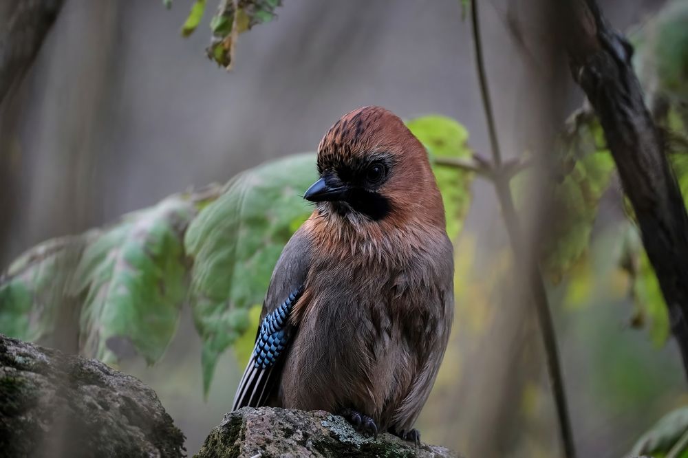 Photograph by Багурский Алексей