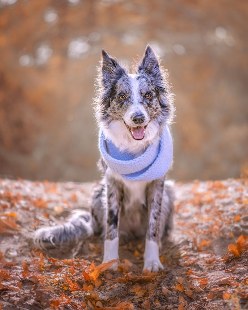 Photograph by Татьяна Полякова