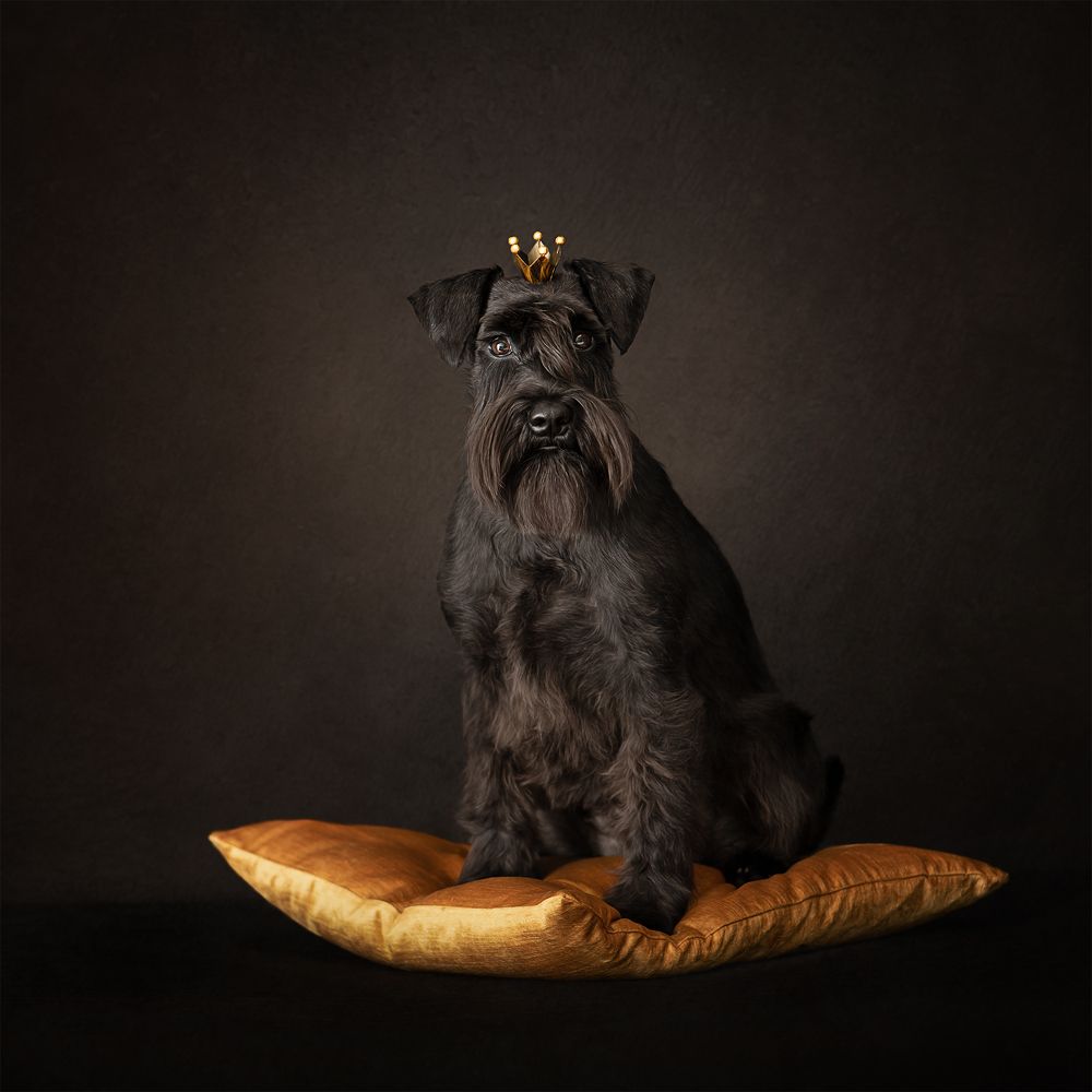 Photograph by Татьяна Полякова