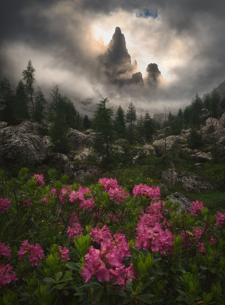 Photograph by Nicola Campanella