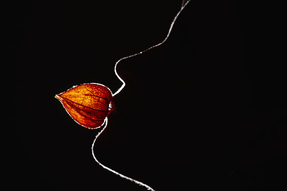 Photograph by Сергей Шестов