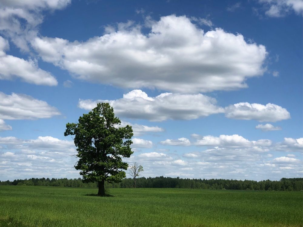 Photograph by Halina Mitsevich