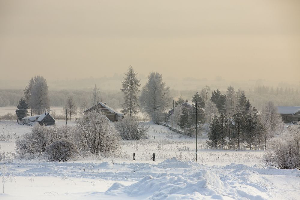Февральская пастораль
