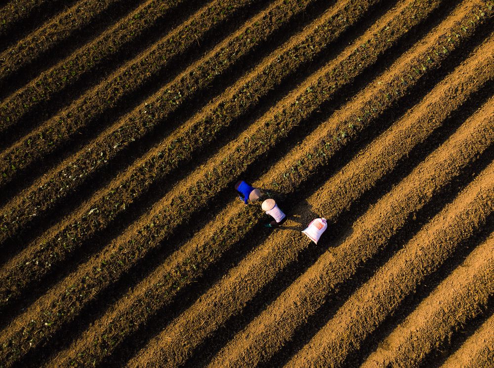 Photograph by Minh Chu Van