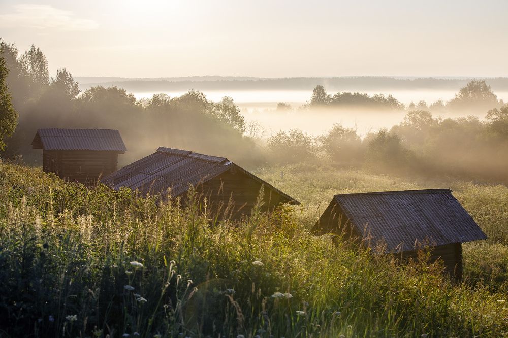Вспоминая лето...