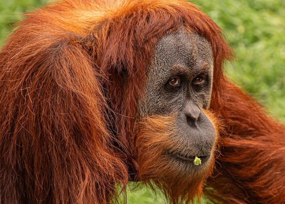 Photograph by Lidiya Dmitrieva