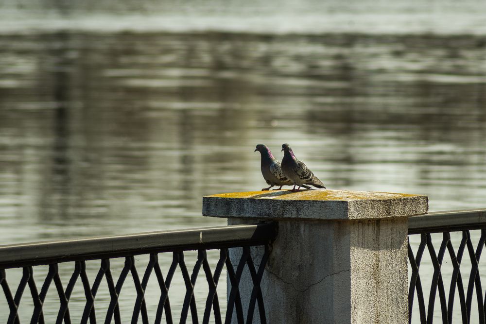 Фотография автора Алёна Подгорная