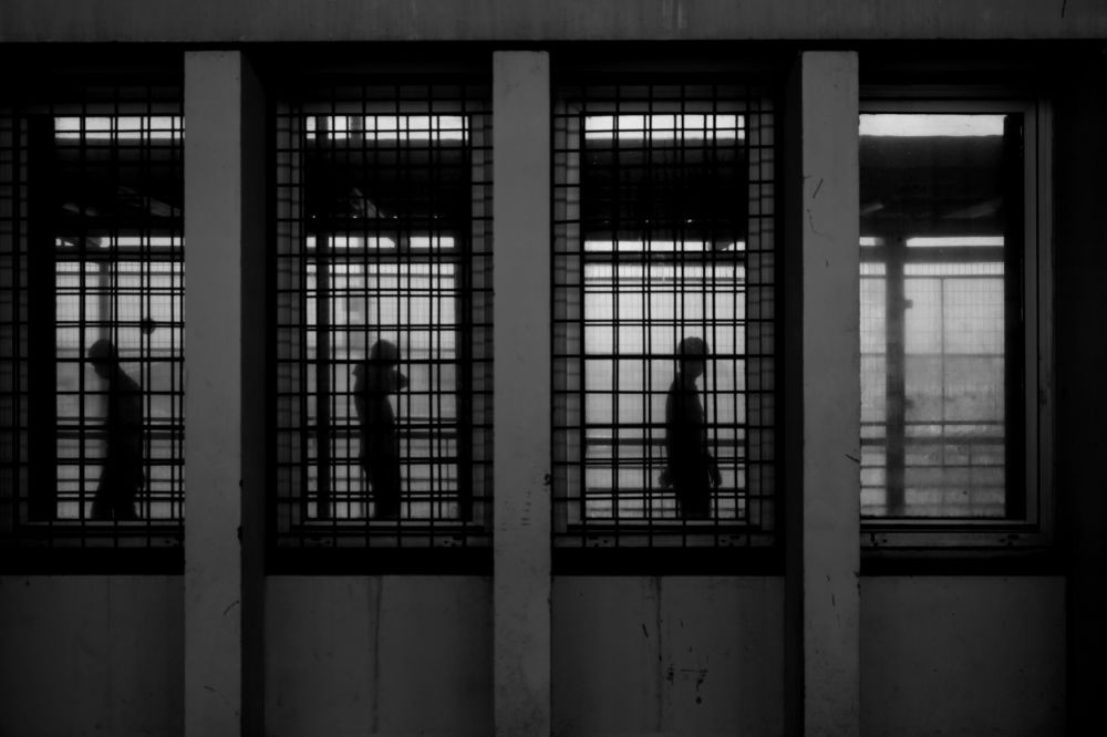 Фотография автора Lasko