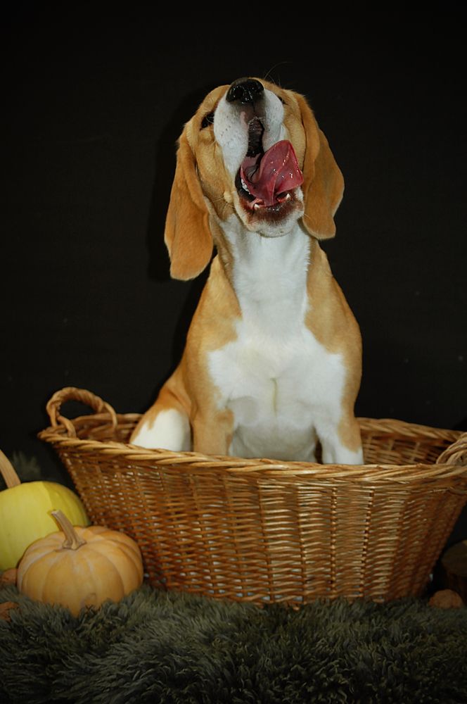 Photograph by Диана Ульянцева