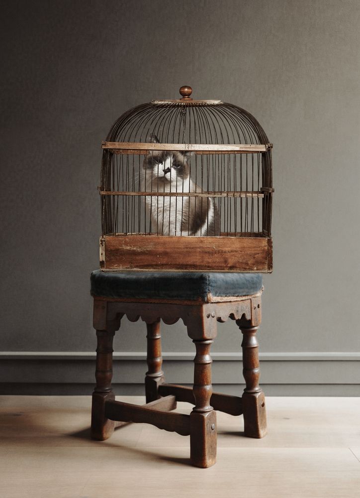 Photograph by Ирина Кленкова