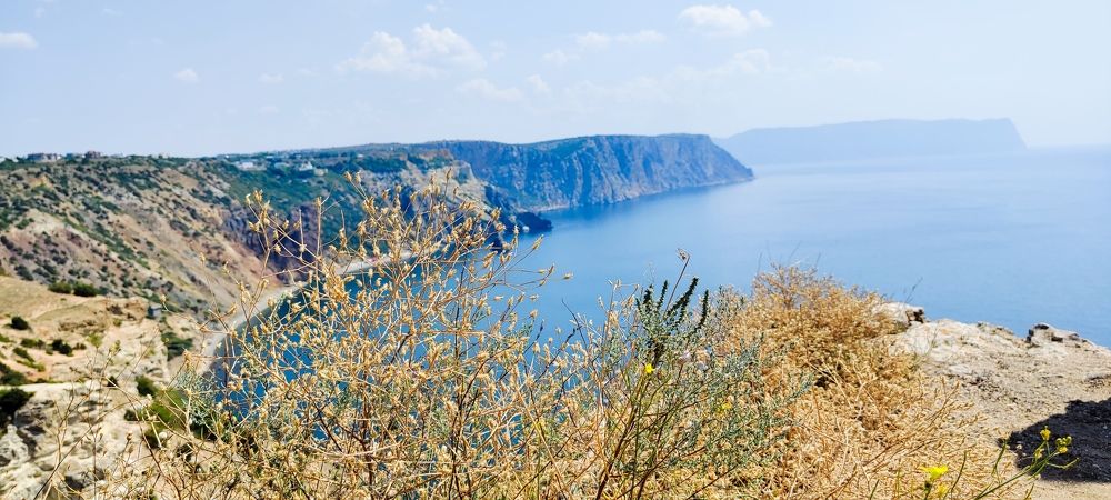 Photograph by Ольга