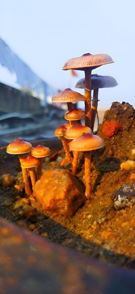 Photograph by Navya Modi